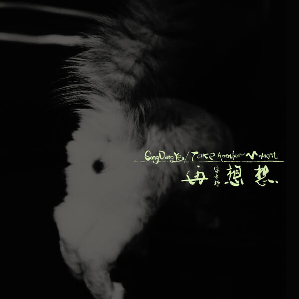宋冬野 - Take Another Moment (2026) [16B-44.1kHz]