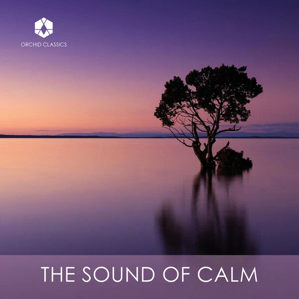 Various Artists - The Sound of Calm (2022) [24B-192kHz]