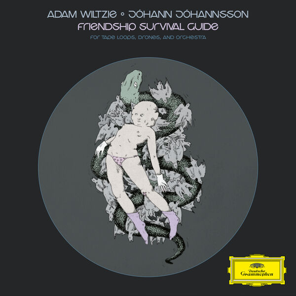 Adam Wiltzie - Friendship Survival Guide (2026) [24B-48kHz]